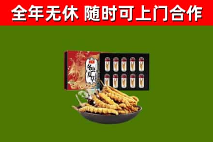 厦门市回收冬虫夏草价格