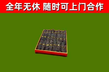 厦门市回收海参